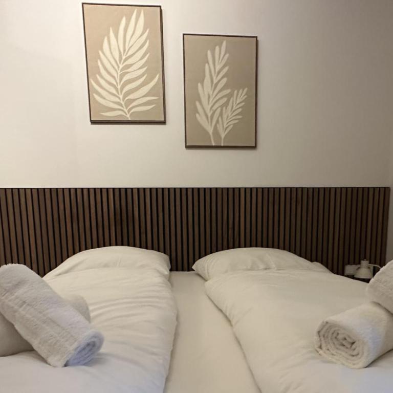 Alpen Experience Apart Hotel - Apartment mit 2 Schlafzimmern mit Balkon und Terrasse - 1