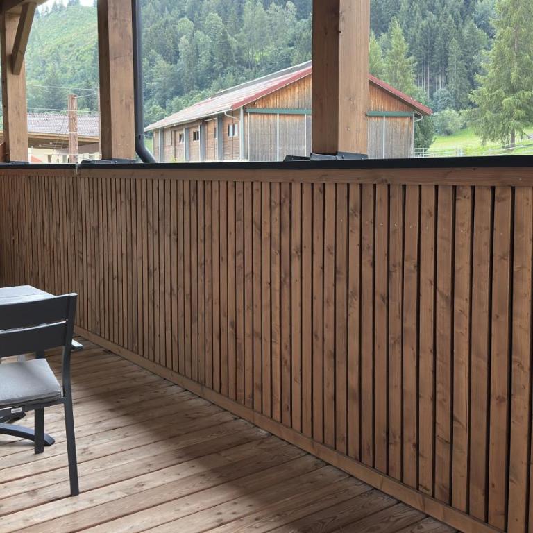 Alpen Experience Apart Hotel - Apartment mit 2 Schlafzimmern mit Balkon und Terrasse - 8