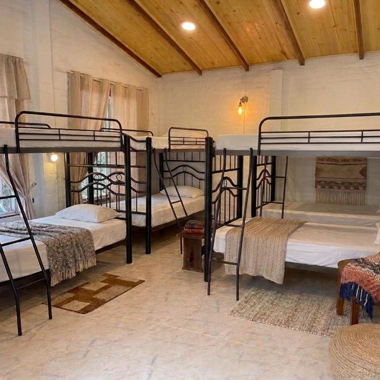 Villa de las Palmas de Rozo Palmira - Villa Superior - 19
