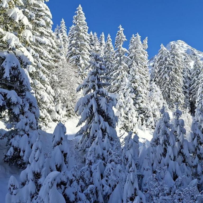 Residence De La Foret - Appartement confortable · Proche des pistes · WIFI gratuit et illimité MAE-7386 - Appartement - 7