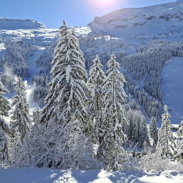 Résidence Castor - Studio rénové avec casier à ski · Proche des pistes · Balcon MAE-7394 - Studio - 1