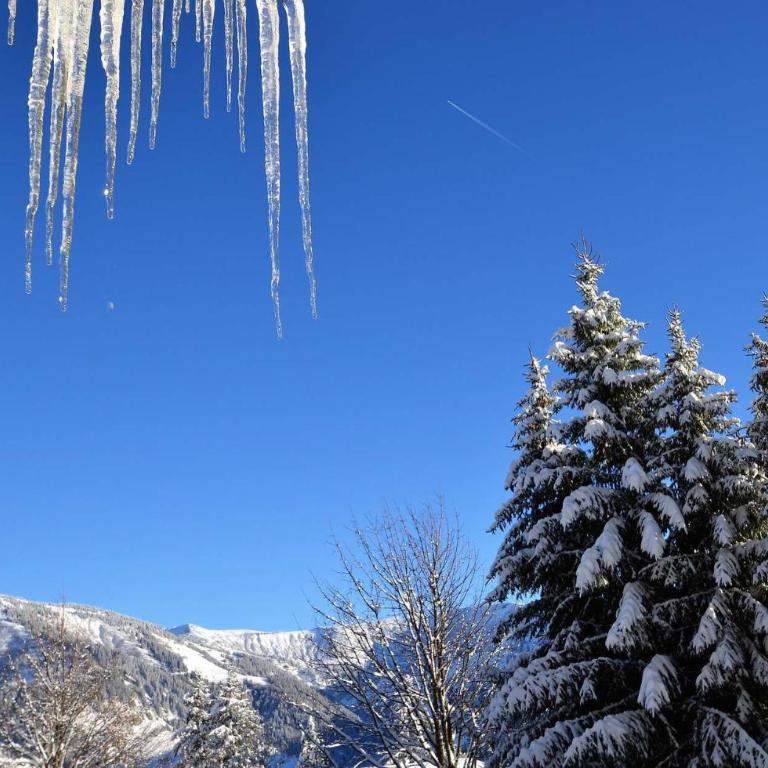 Résidence Les Chardons - Appartement calme avec des vues superbes, à proximité des pistes de ski et des randonnées. MAE-2854 - Appartement - 12