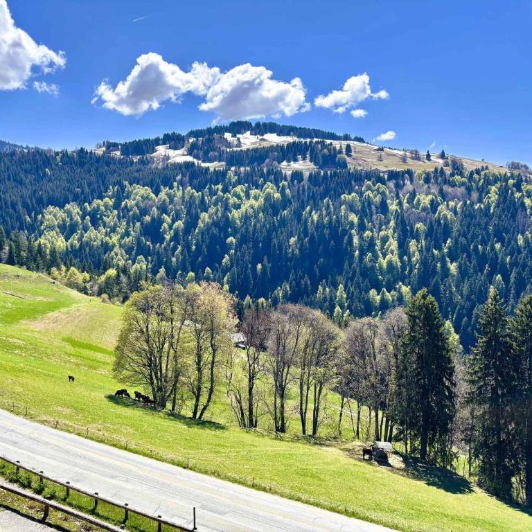 Résidence Samarcande - Appartement de charme avec une superbe vue sur le Mont Charvin MAE-2174 - Appartement - 16