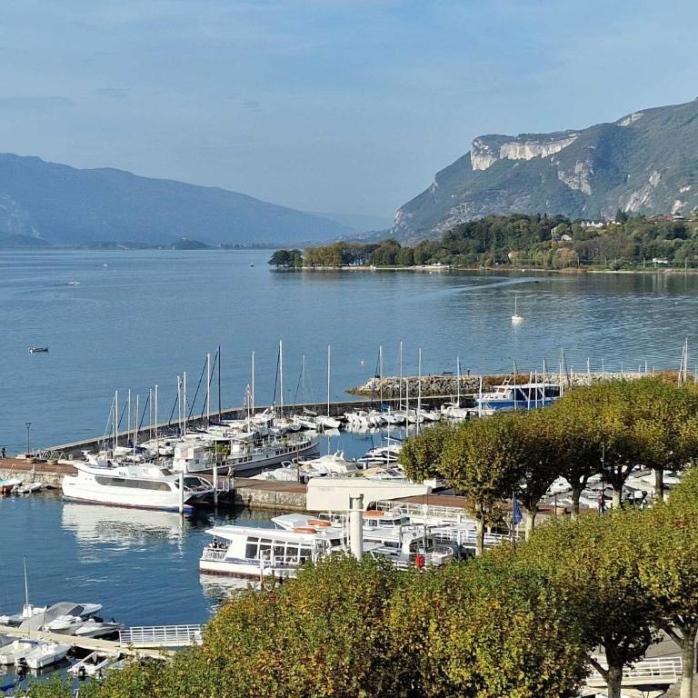Résidence Les Belles Rives E - Magnifique et imprenable vue sur le Lac du Bourget ! MAE-6434 - Appartement - 8