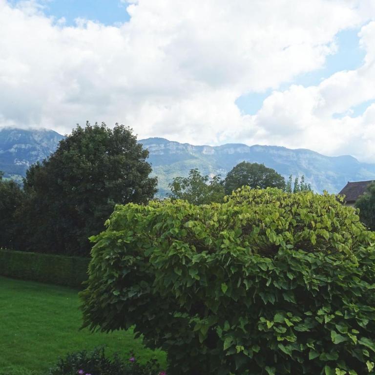 Residence Aix Parc - Dans cadre verdoyant, logement paisible pour 4 personnes ! MAE-6454 - Appartement - 7