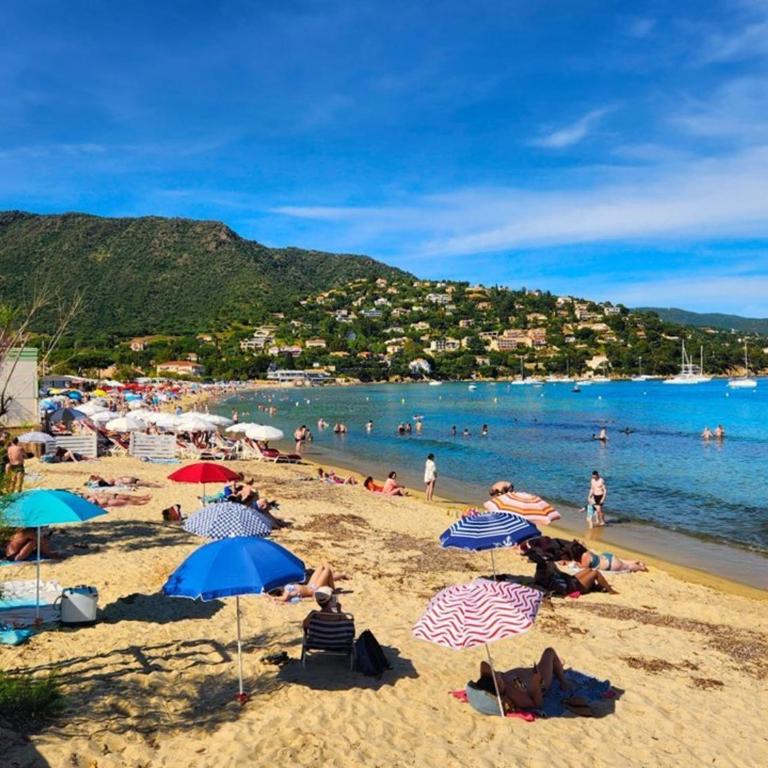 Le Lavandou T2 4 pers, terrasse vue mer - Appartement 1 Chambre - 9