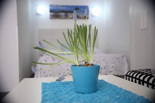 you & me house - Casa Vacanze - 15
