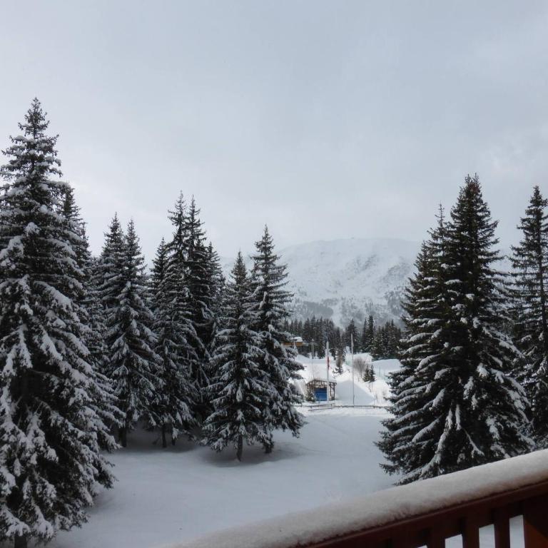 Résidence Les Dauphinelles - Studio pour 4 personnes à Méribel Altiport proche des pistes et du golf MAE-3024 - Estudio - 4