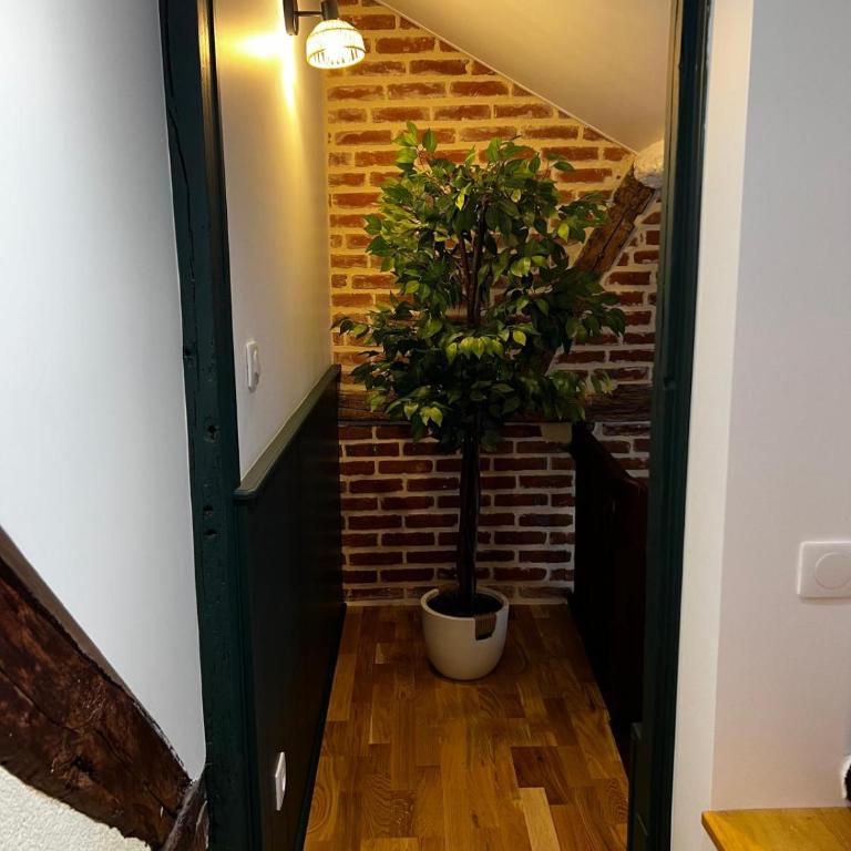 Le Reflet Royal - Appartement 2 Chambres - 37