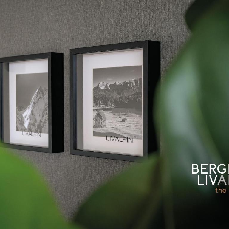 BergRelaxe - Appartamento con 2 Camere da Letto e con Vista Montagna - 23