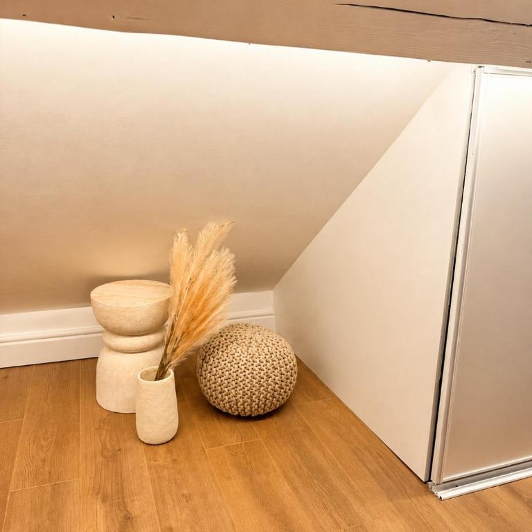 Studio bohème rénové Hyper centre de Dijon - One-Bedroom Apartment - 13