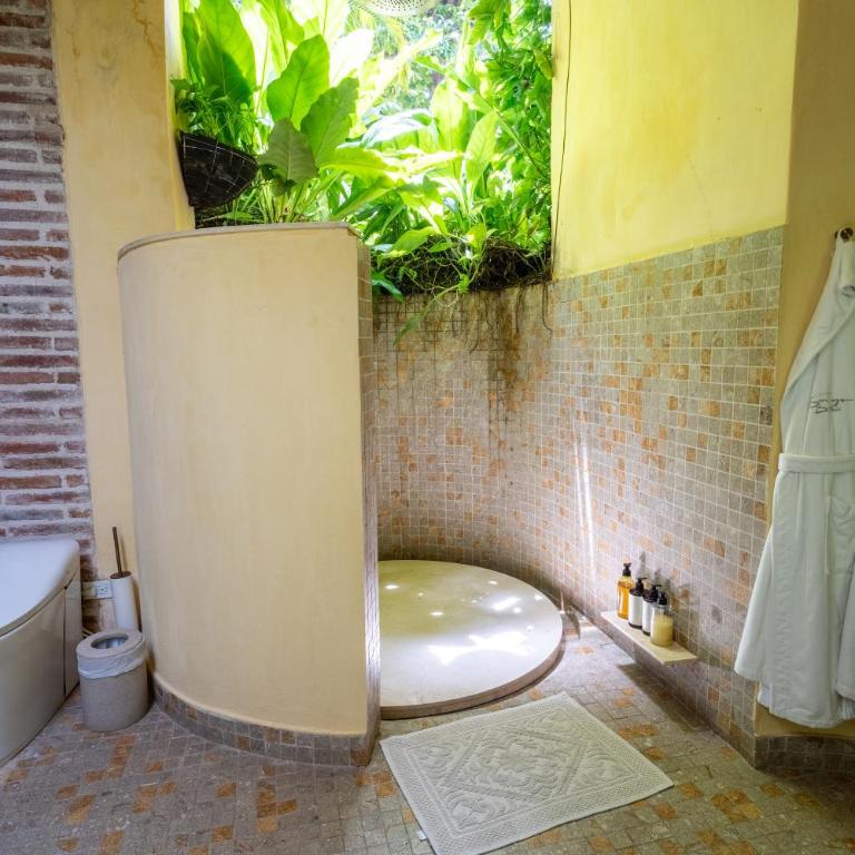 Hotel casa santiago botero - Deluxe Suite - 4