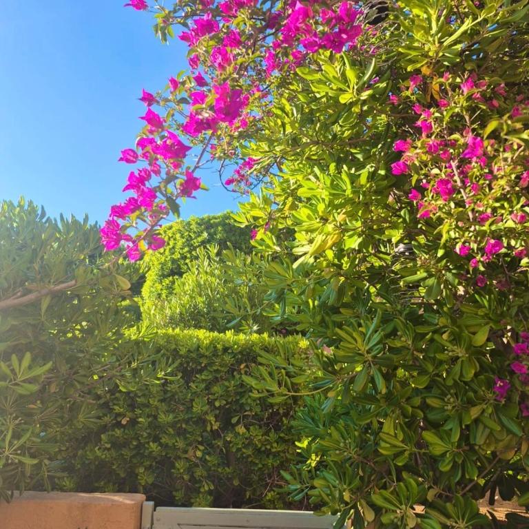 Le jardin d'azur - Vue mer - clim - piscine - Apartment mit 1 Schlafzimmer - 30