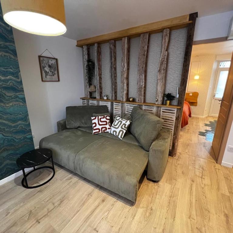 Le Rivage d'Or - Appartement 1 Chambre - 30