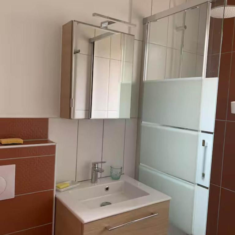 Perenza apartment - Appartement 1 Chambre - 3