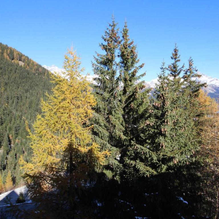 Chalets Du Thabor - CHALETS DU THABOR - CTHAA334 MAE-8104 - Appartement - 10