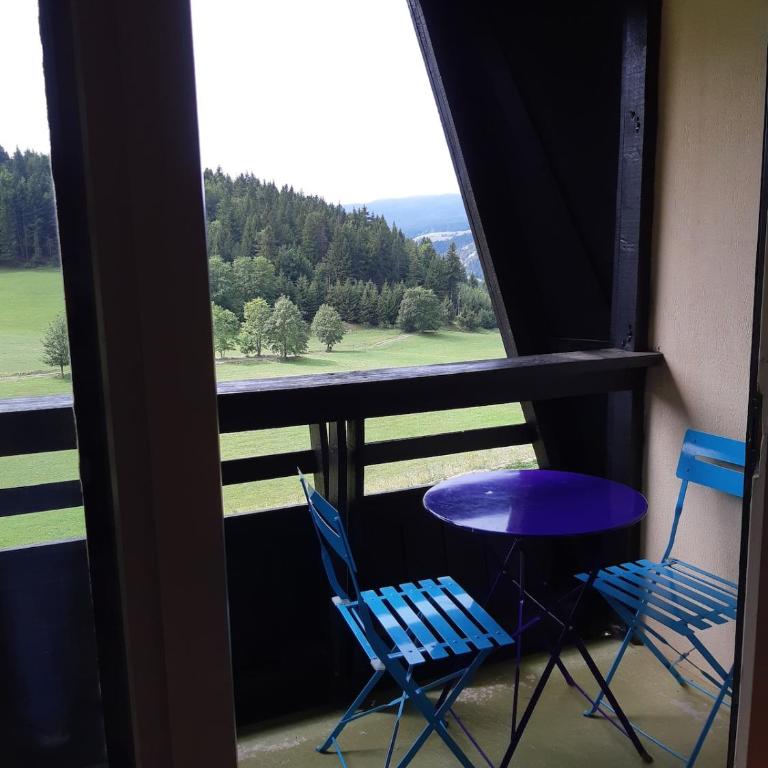 Studio chaleureux aux Glovettes - Appartement 2 Chambres - 20