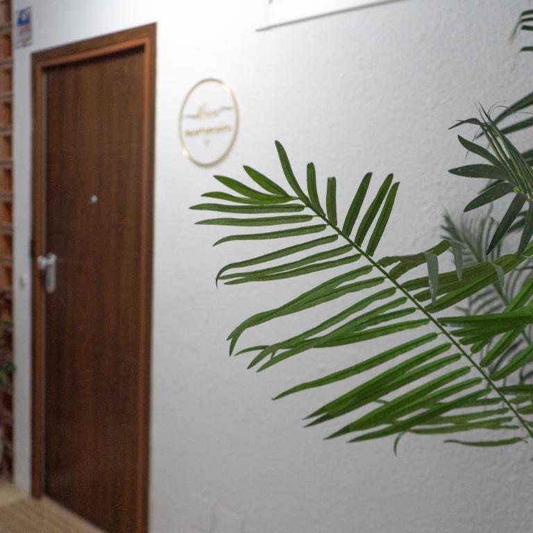 Alma del Mar - Apartamento de 2 dormitorios - 12