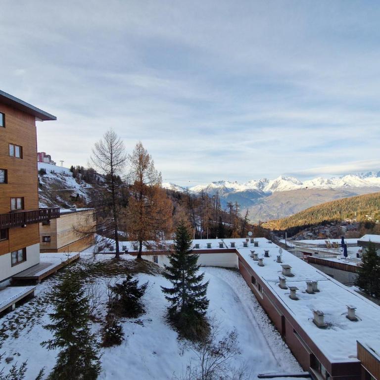 Résidence Jannu - Appartement 3 pièces 8 personnes Plagne Centre MAE-5034 - Appartement - 13