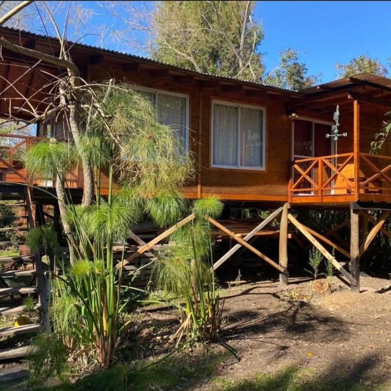 Magnolia - Apartamento de 2 dormitorios - 22