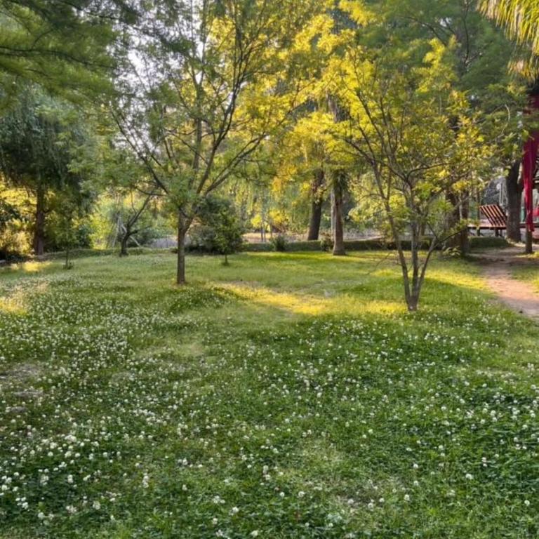 Magnolia - Apartamento de 2 dormitorios - 38