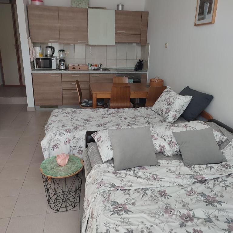 Irski Apartmani - Apartman sa 1 Spavaćom Sobom - 1