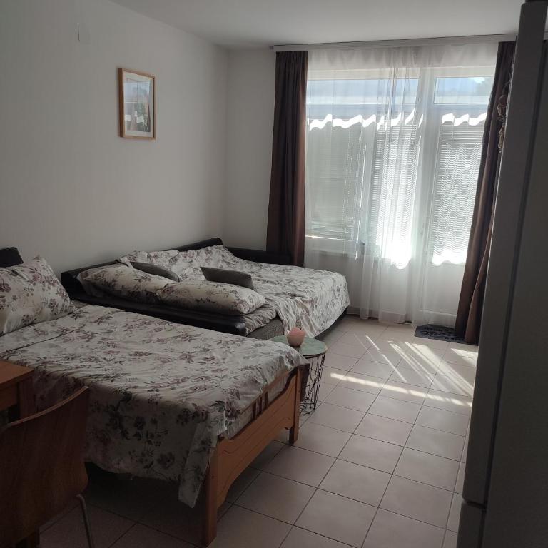 Irski Apartmani - Apartman sa 1 Spavaćom Sobom - 5