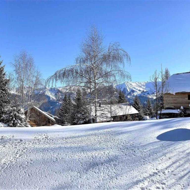 Chalet Les Airelles - APPARTEMENT DANS CHALET AVEC GARAGE MAE-9054 - Appartement - 5