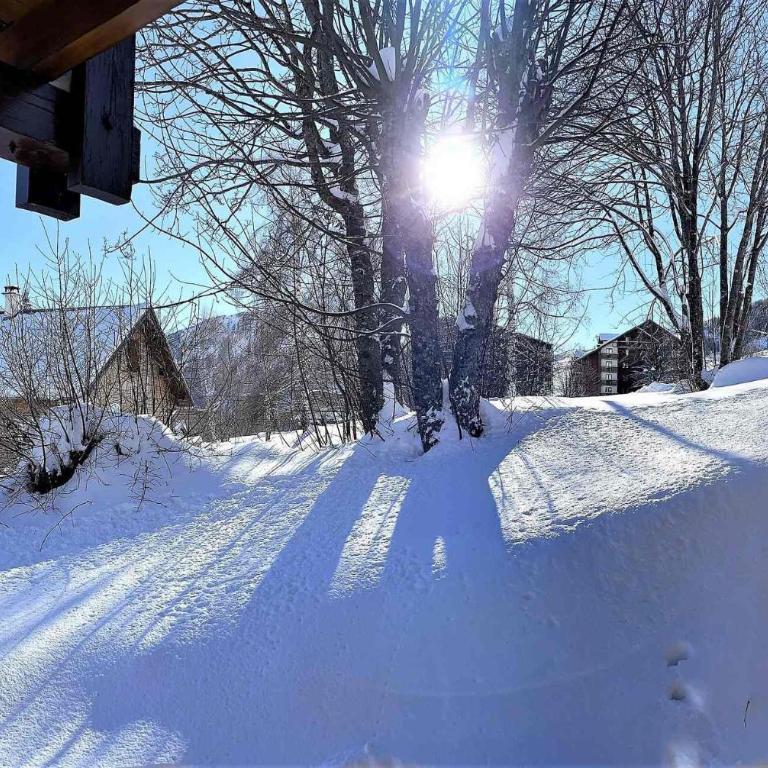 Chalet Les Airelles - APPARTEMENT DANS CHALET AVEC GARAGE MAE-9054 - Appartement - 16