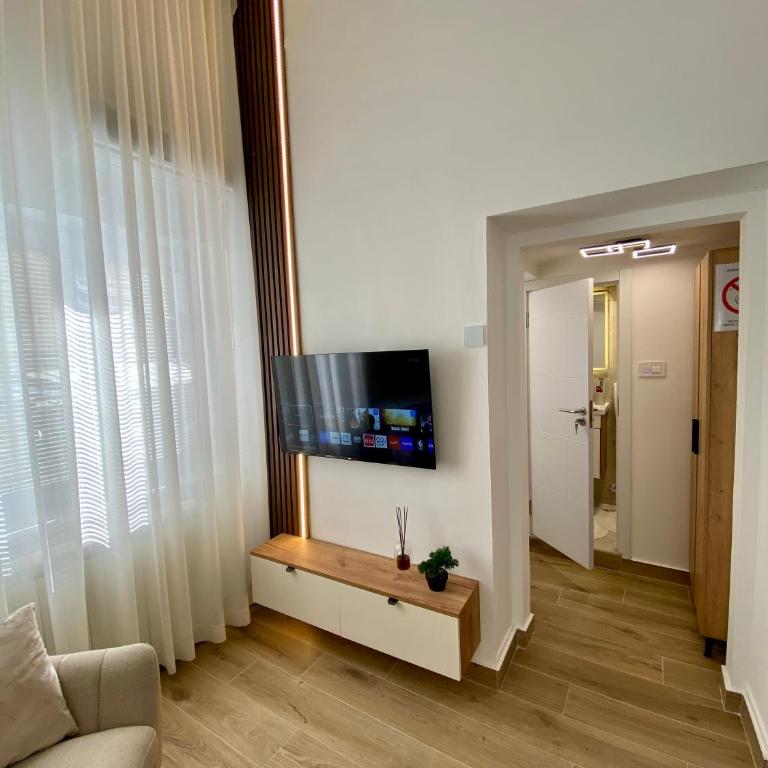 Lux Vracar St Sava Temple - Apartman sa 1 Spavaćom Sobom - 1
