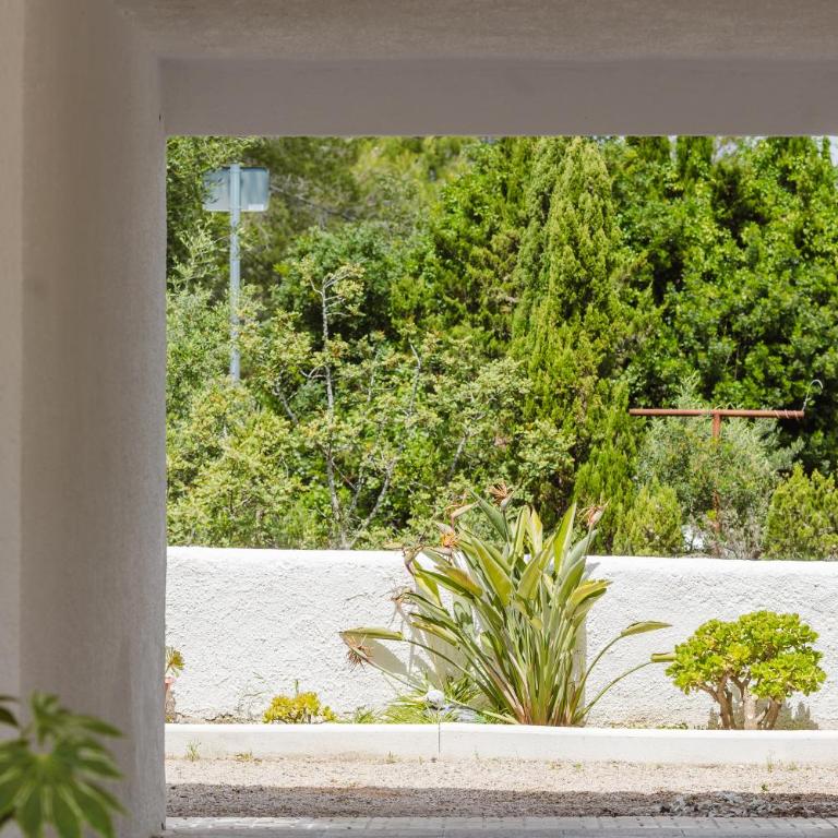 DE TARRAGONA AL DELTA DEL EBRE- A 50 m PLATJA - Apartamento - 34