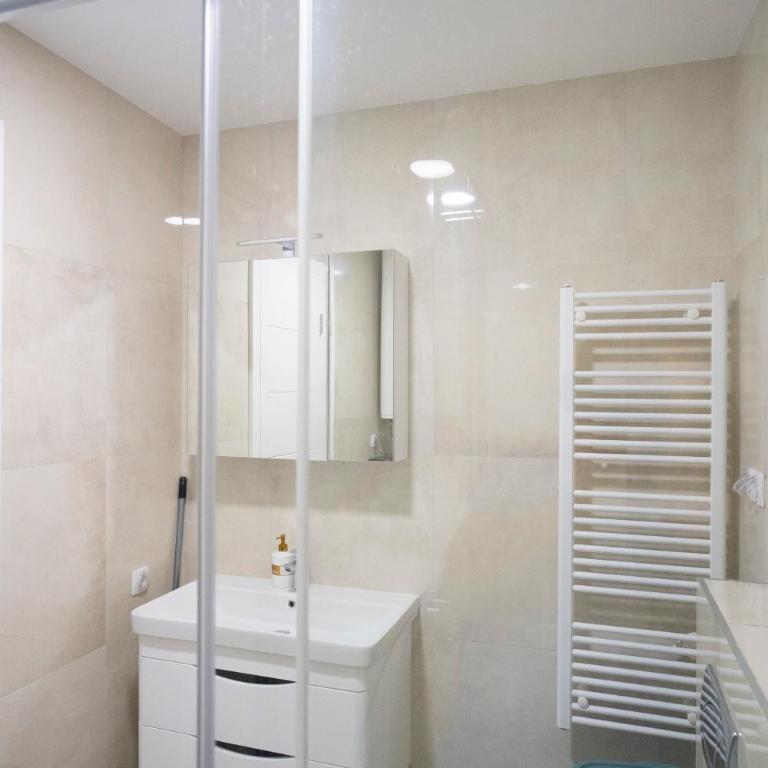 Central Luxury - Apartman sa 1 Spavaćom Sobom - 62