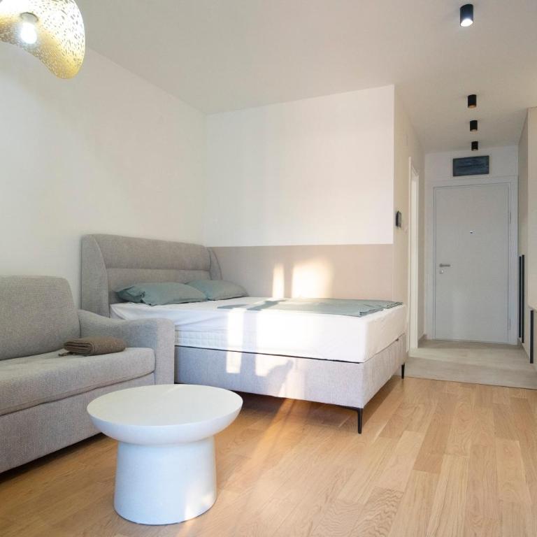 Central Luxury - Apartman sa 1 Spavaćom Sobom - 64