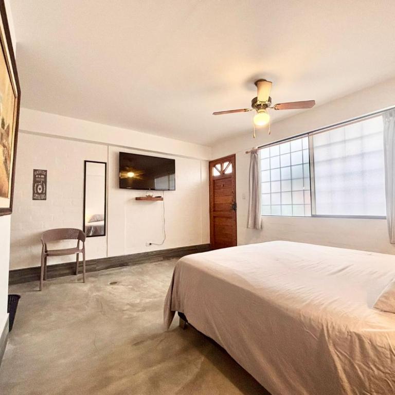 Casa Danda Surf House - One-Bedroom Apartment - 4