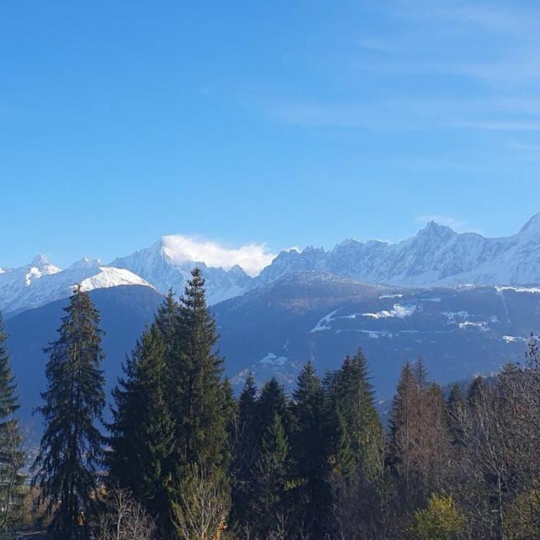 Résidence La Cry - Appartement 3 pièces - 6 personnes Vue Mont-Blanc MAE-5604 - Appartement - 1