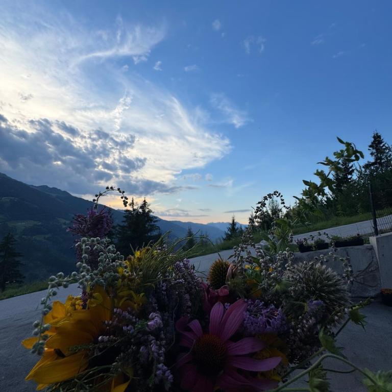 Apart Mountainview - Ferienhaus - 35