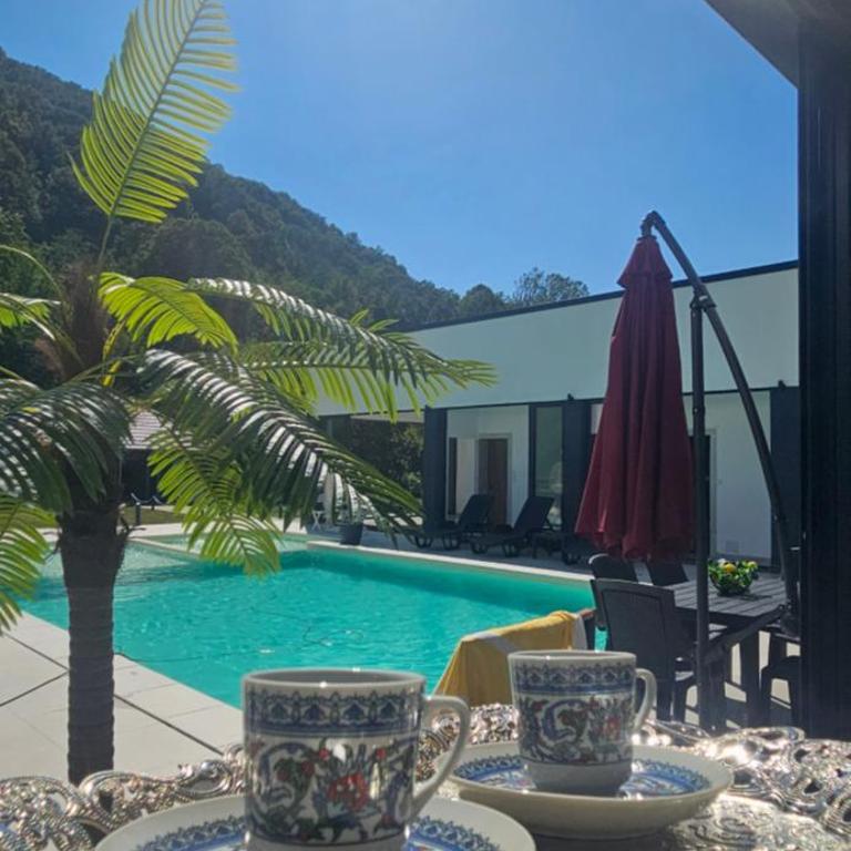 Golden Spa Villa - Vila sa Sopstvenim Bazenom - 8