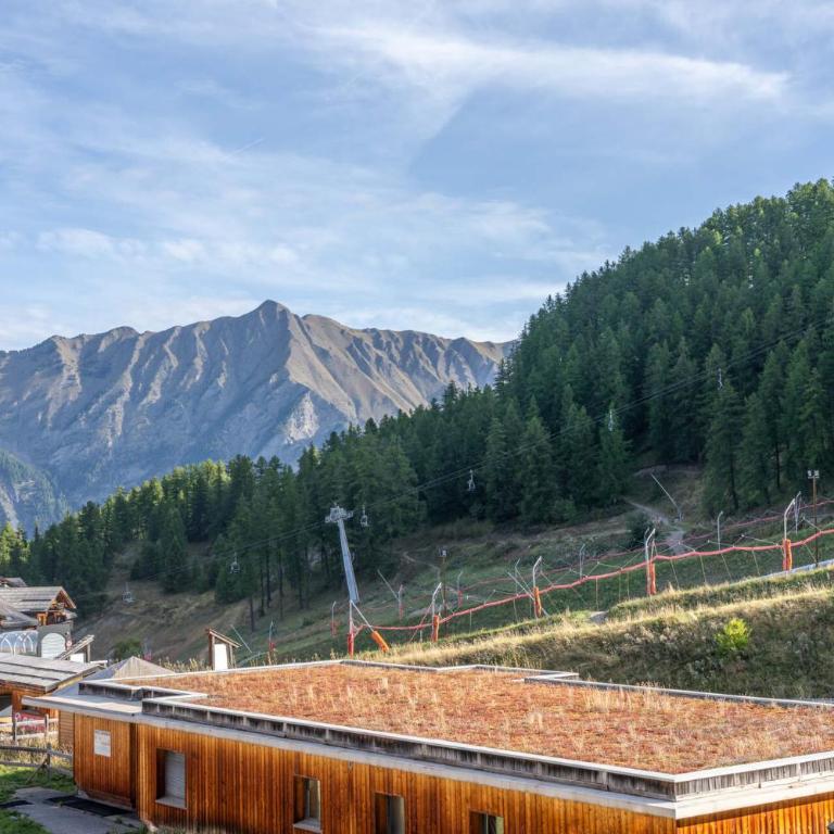 Résidence Les Terrasses Du Soleil D'or - Agréable duplex avec vue sur les pistes MAE-4534 - Apartment - 10