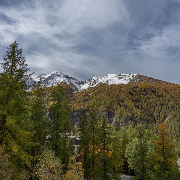 Résidence Les Ecrins - Adorable studio au coeur de la forêt des Orres MAE-6224 - Studio - 2