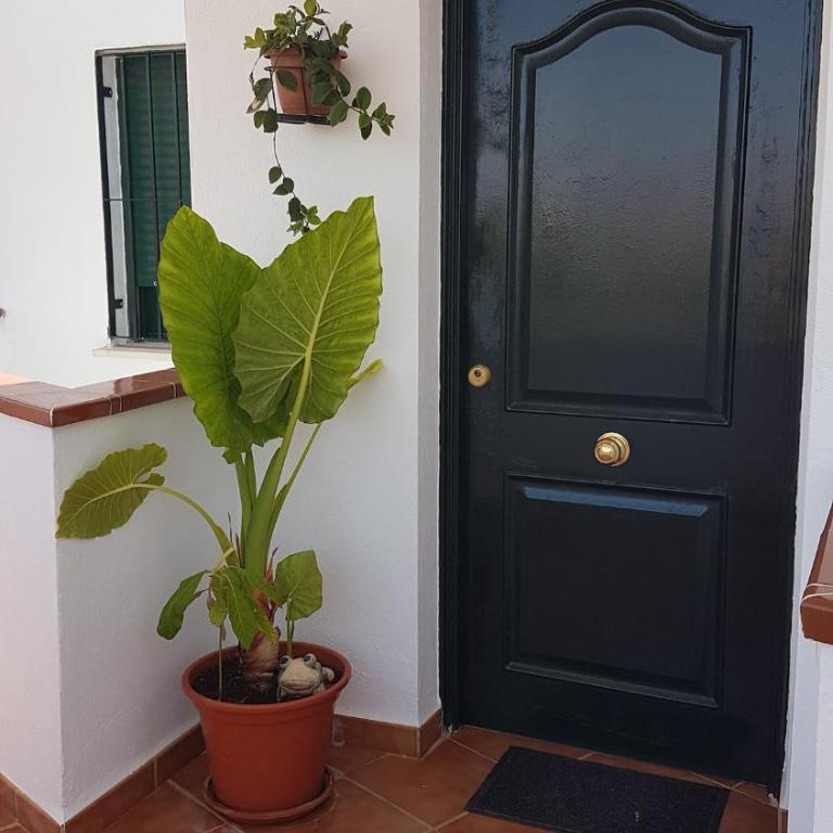 Ático con Terraza y Solarium en Benalmádena - Apartamento de 2 dormitorios - 34