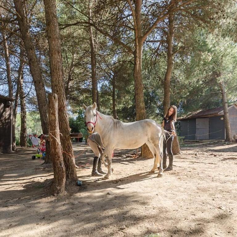 Les Maisons de Pont Royal en Provence - maeva Home - Maison climatisée pour 8 Personnes avec jardin privatif et terrasse MAE-2283 - Maison de Vacances - 5