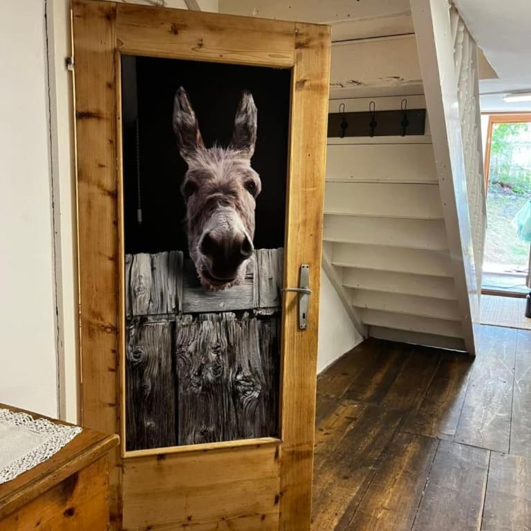 Untersillerhof - Chalet mit 3 Schlafzimmern - 19
