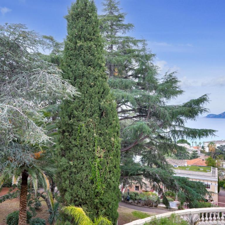 Résidence Cannes Villa Francia - maeva Home - Appartement climatisé 3 pièces 4 personnes - Prestige - super Home MAE-6737 - Appartement - 28