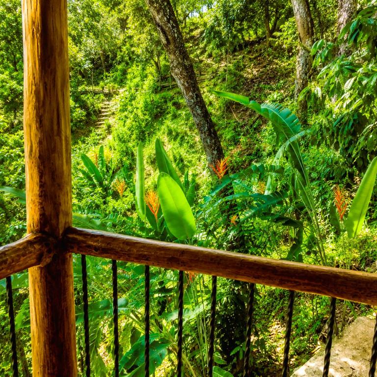 Jardín de Heliconias - Eco apartment in Minca - Apartamento Deluxe de 1 dormitorio con vistas al jardín - 37