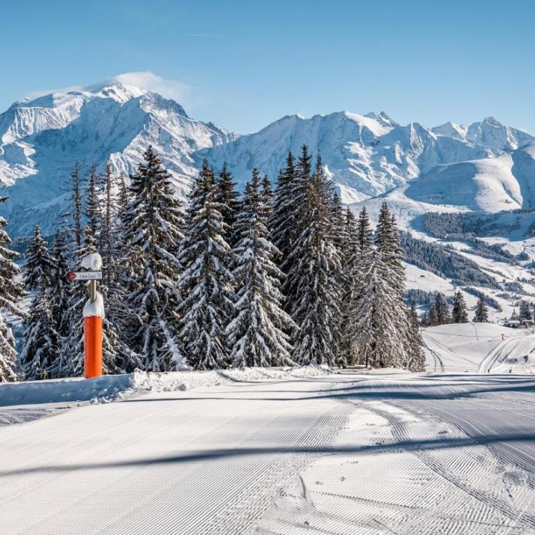 Pieds des pistes & jardin avec vue MontBlanc - terrasse rez de jardin, wifi, parking privé, linge de lit, cuisine équipée - 1 à 4 pers - Appartement 1 Chambre - 25