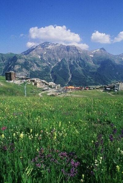 Résidence Rond-point-pistes I - Maxi studio 6 pers. N°73 au rond point des pistes MAE-7384 - Studio - 8