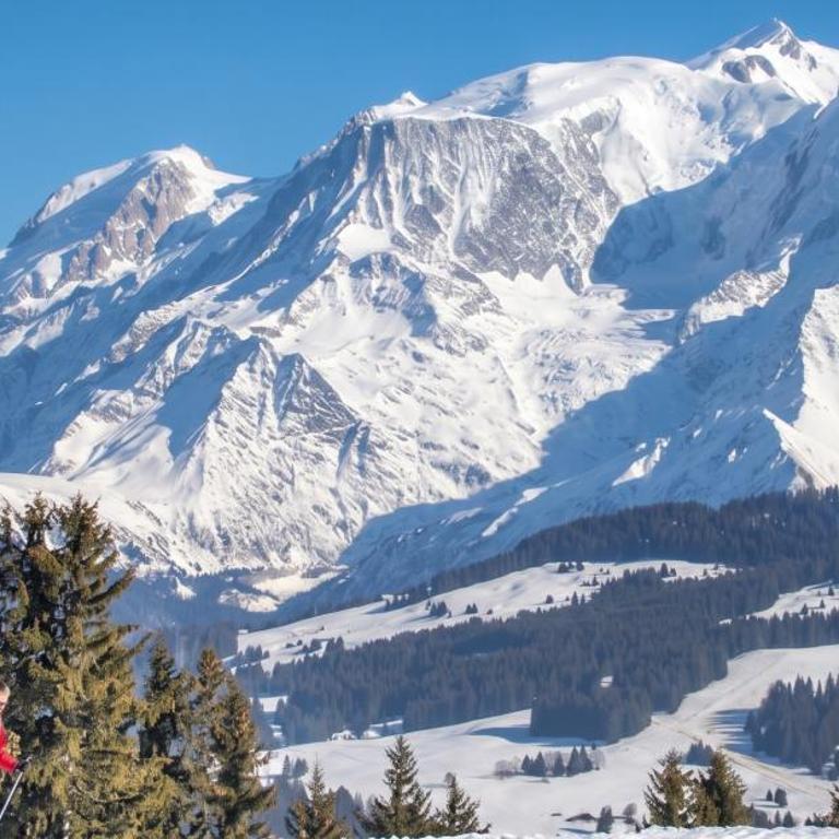 Pieds des pistes & jardin avec vue MontBlanc - terrasse rez de jardin, wifi, parking privé, linge de lit, cuisine équipée - 1 à 4 pers - Appartement 1 Chambre - 26