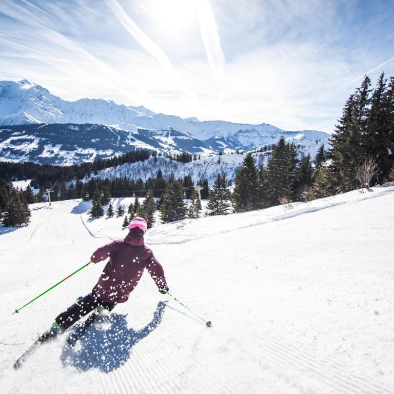 Pieds des pistes & jardin avec vue MontBlanc - terrasse rez de jardin, wifi, parking privé, linge de lit, cuisine équipée - 1 à 4 pers - Appartement 1 Chambre - 27