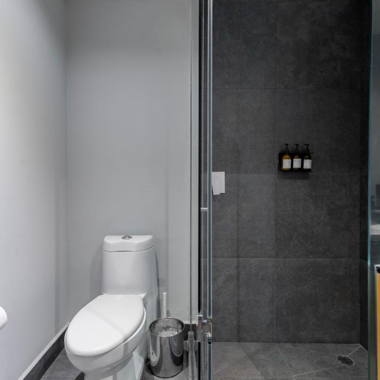 Capitalia Temistocles Polanco - Apartamento Premium con balcón - 2 dormitorios - 4