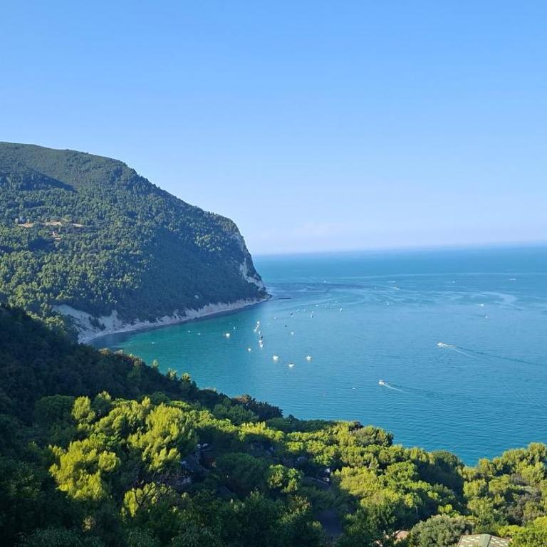 Sirolo vista mare- Garage privato- Centro a 700 m - One-Bedroom Apartment - 25